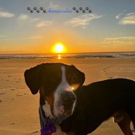 Duplex Moderne A 700m De La Parking & Wifi * فورت ماهون بلاج